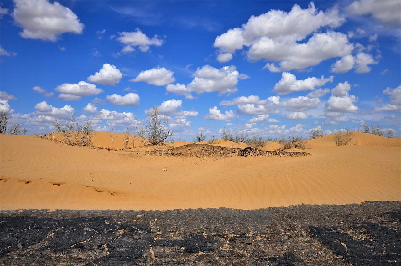 uzbekistan desert kyzylkum sand free photo