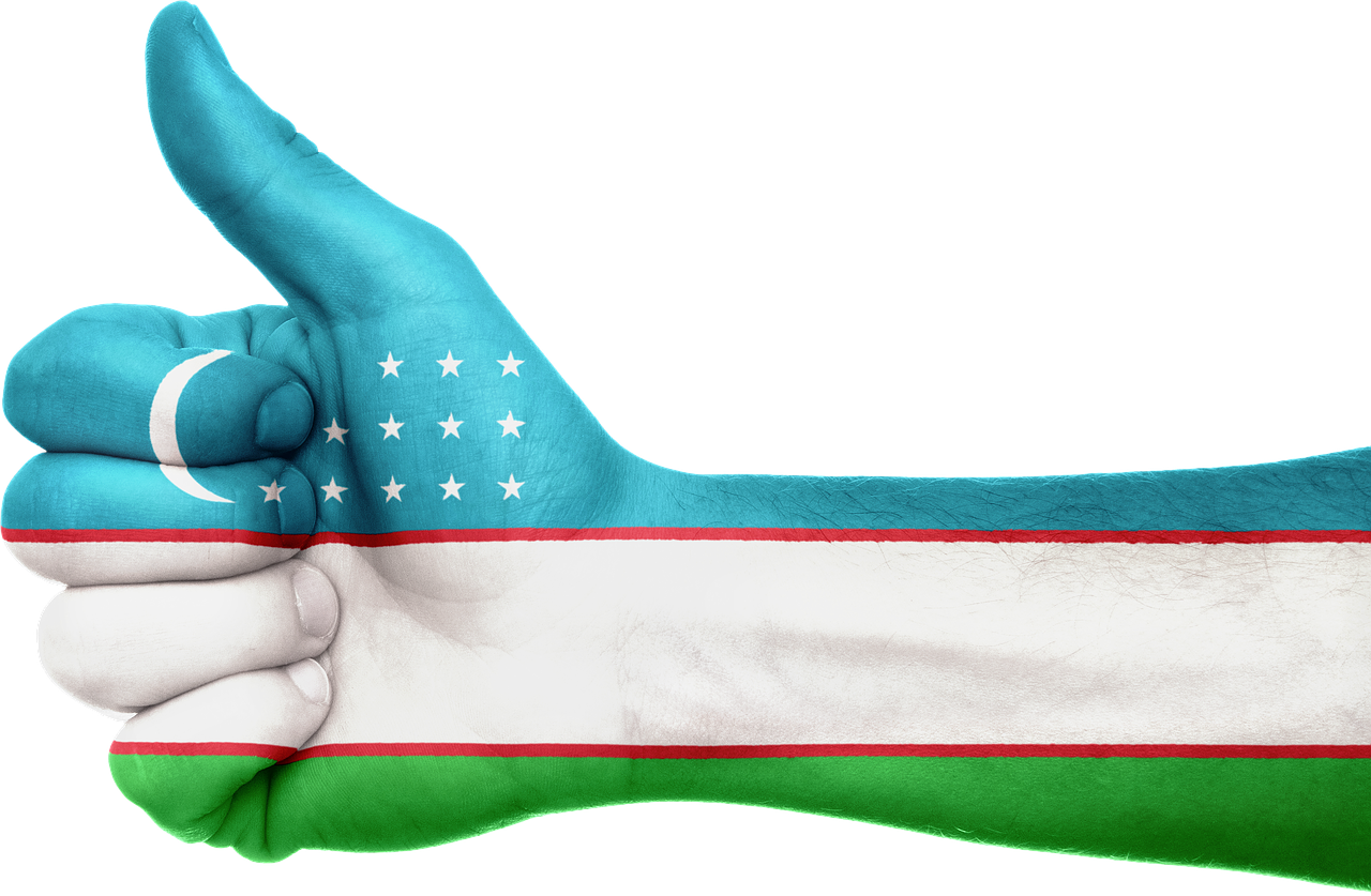 uzbekistan flag hand free photo