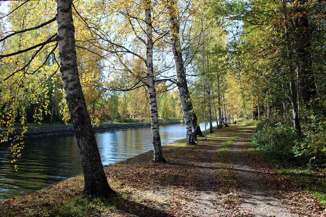 vääksy channel autumn free photo