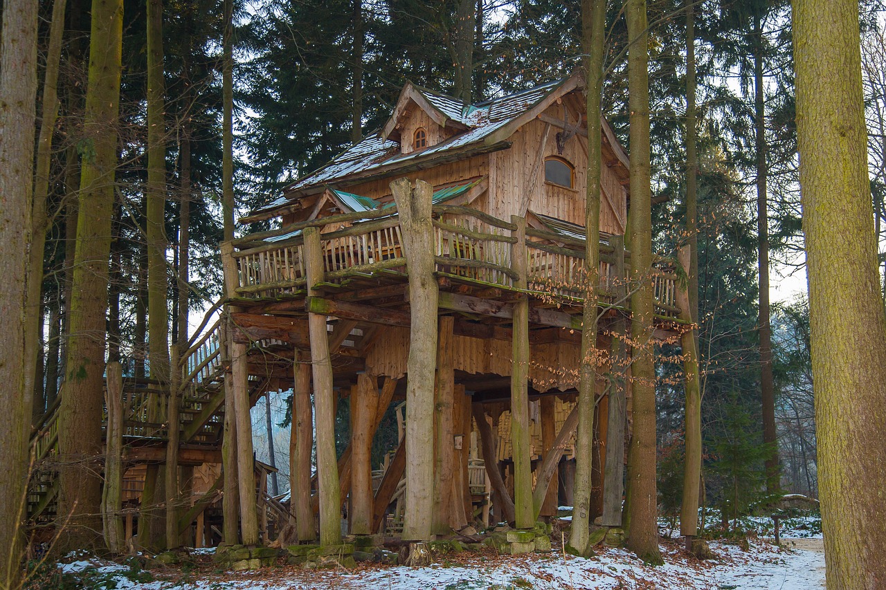 vacation treehouse tree hut free photo