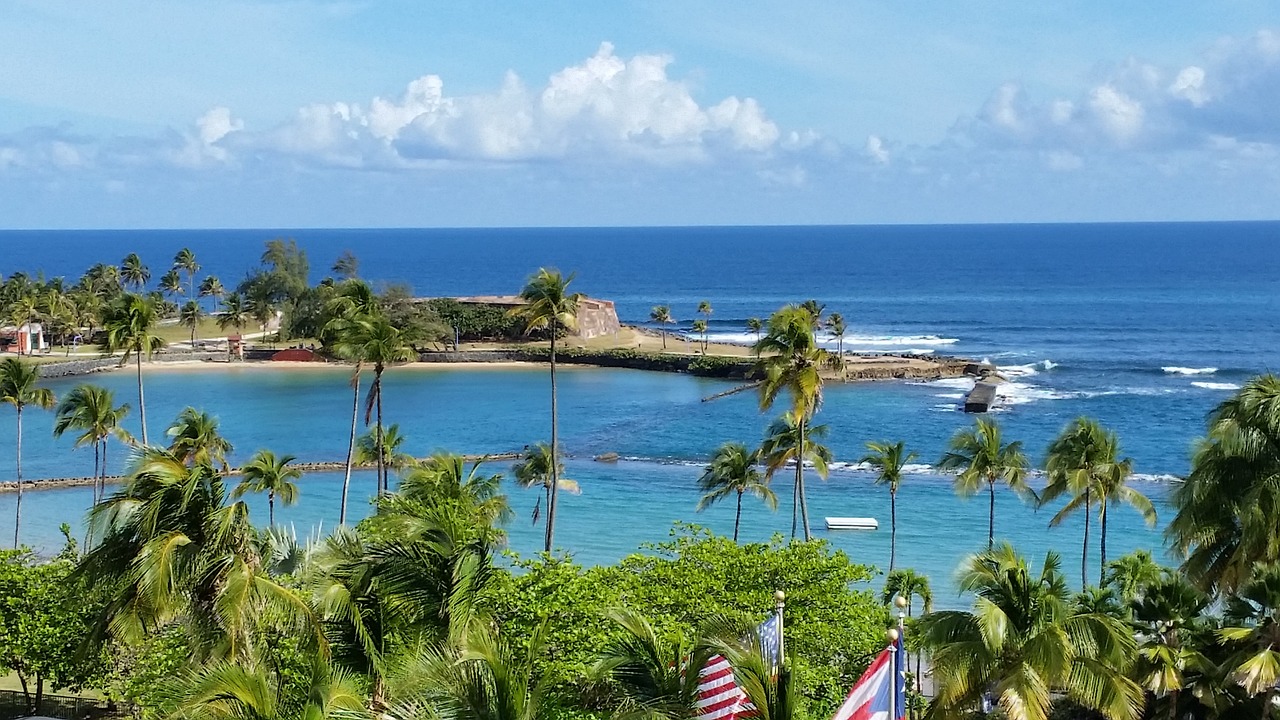 vacation puerto rico tropical free photo