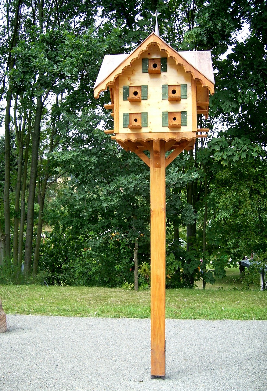vacation insect insect house free photo