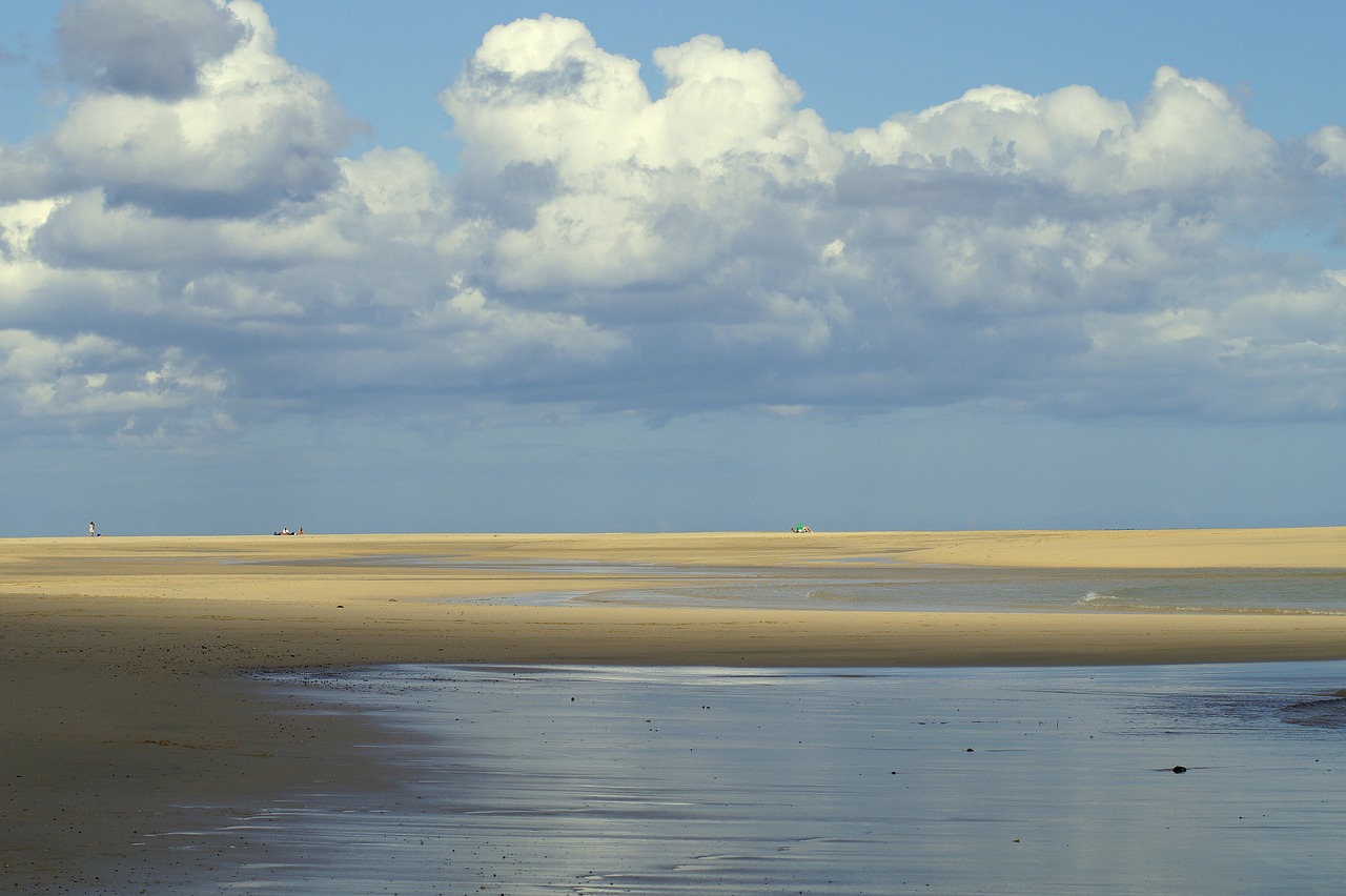 vacations  fuerteventura  beach free photo