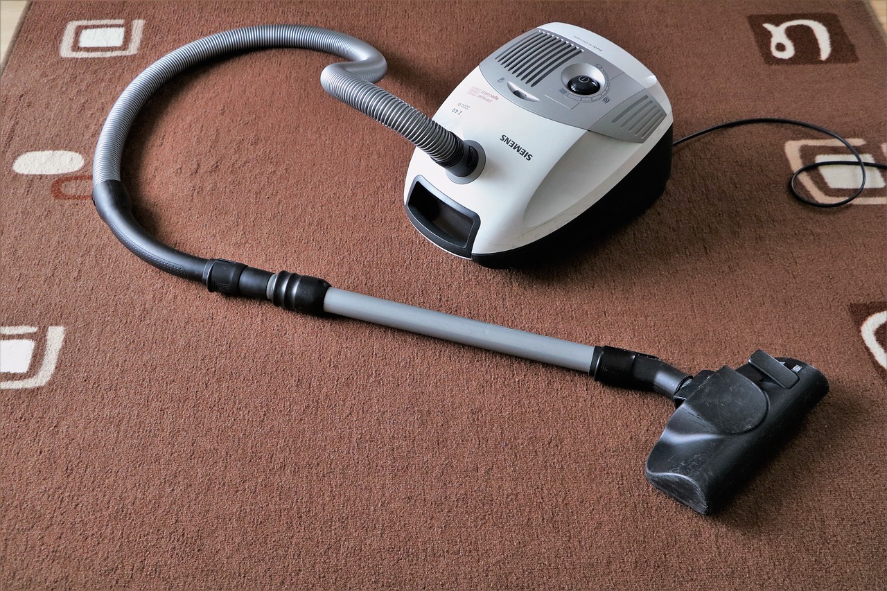 vacuum cleaner suck carpet free photo
