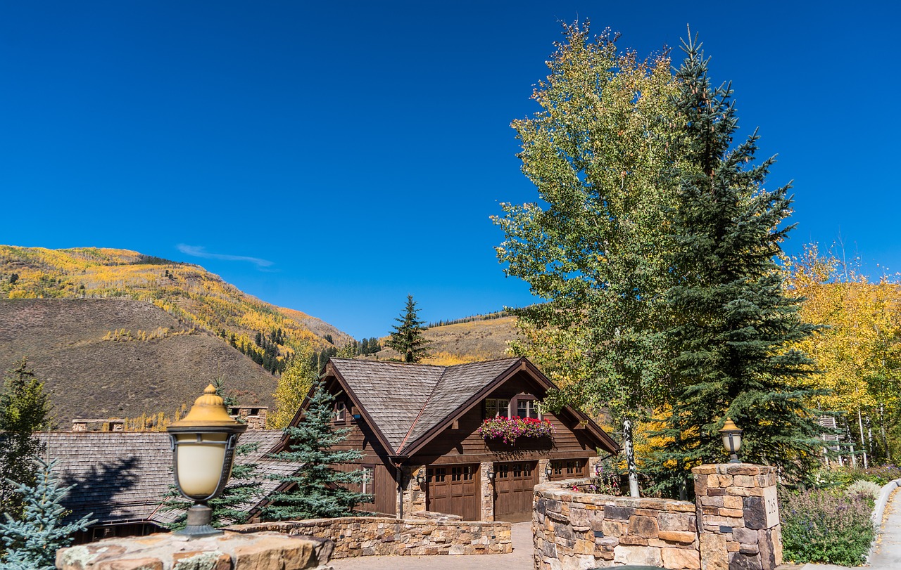 vail colorado foliage free photo