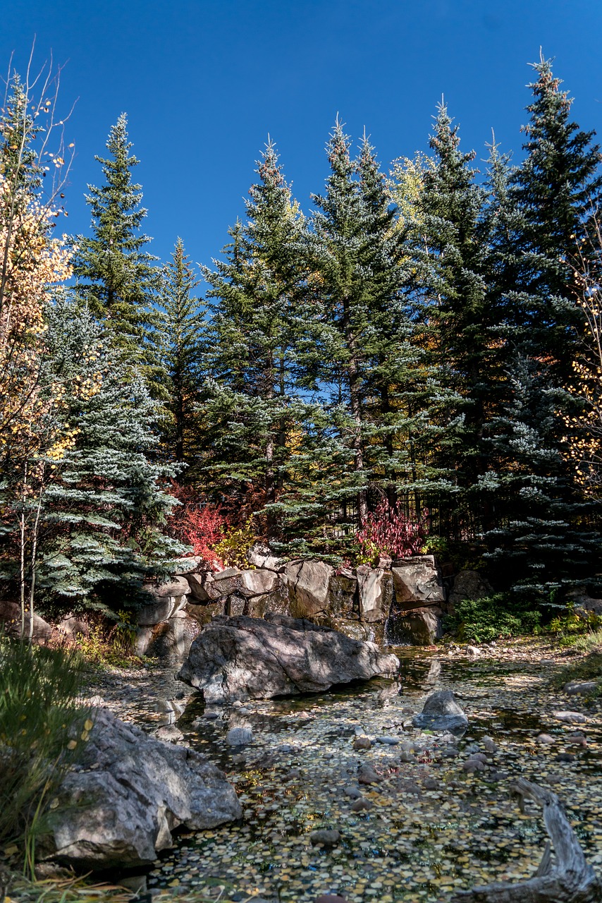 vail colorado autumn free photo