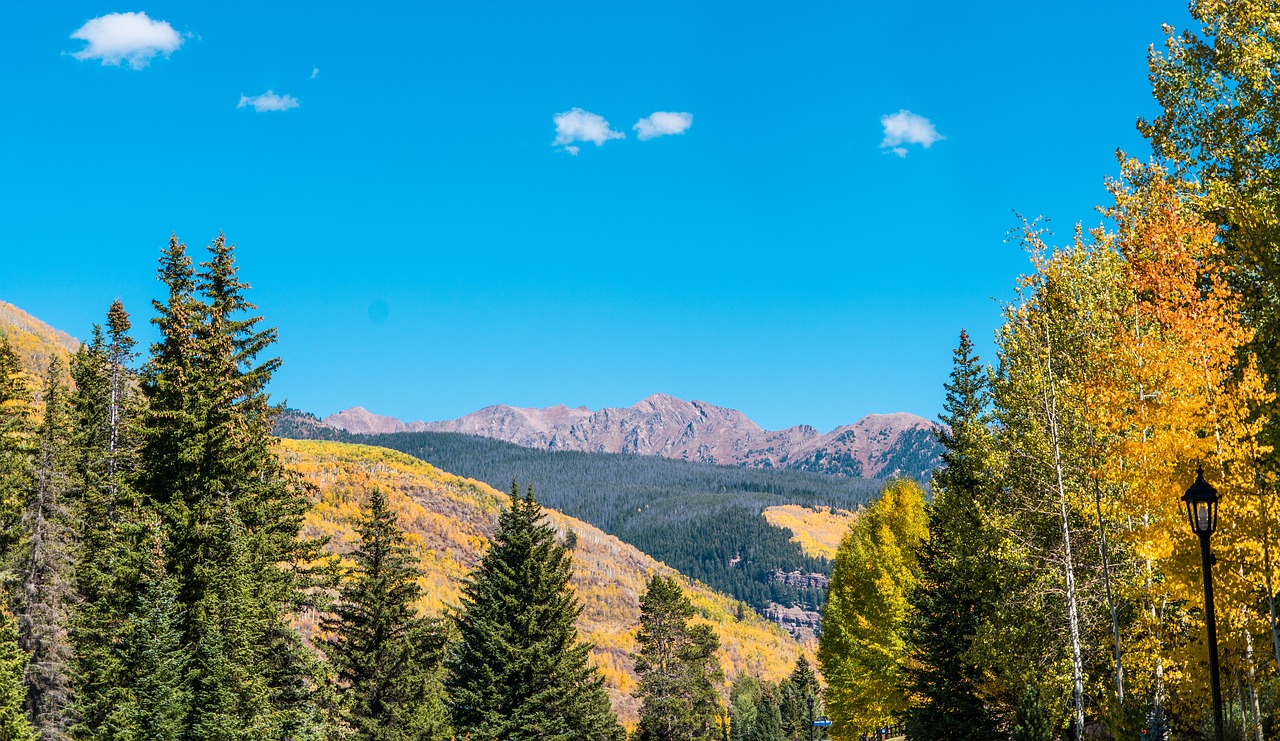 vail colorado nature free photo