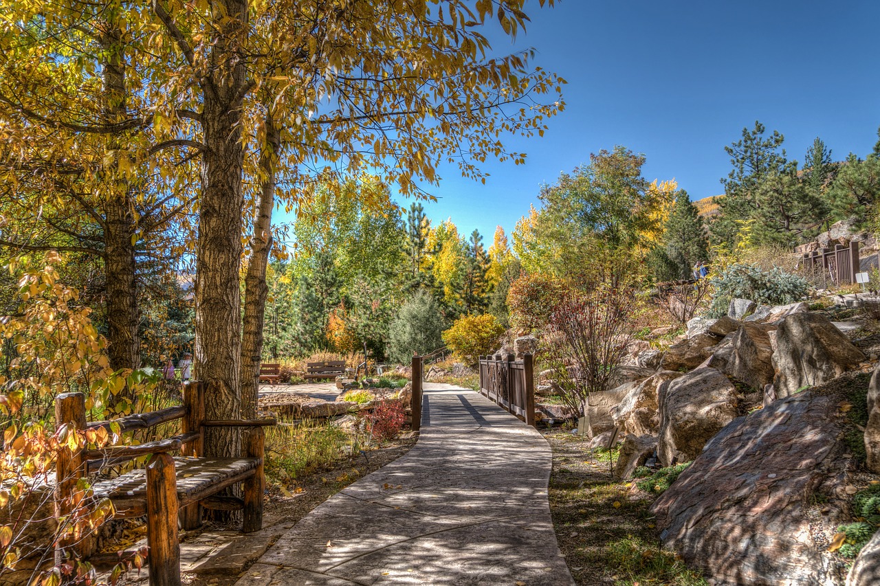 vail colorado foliage free photo