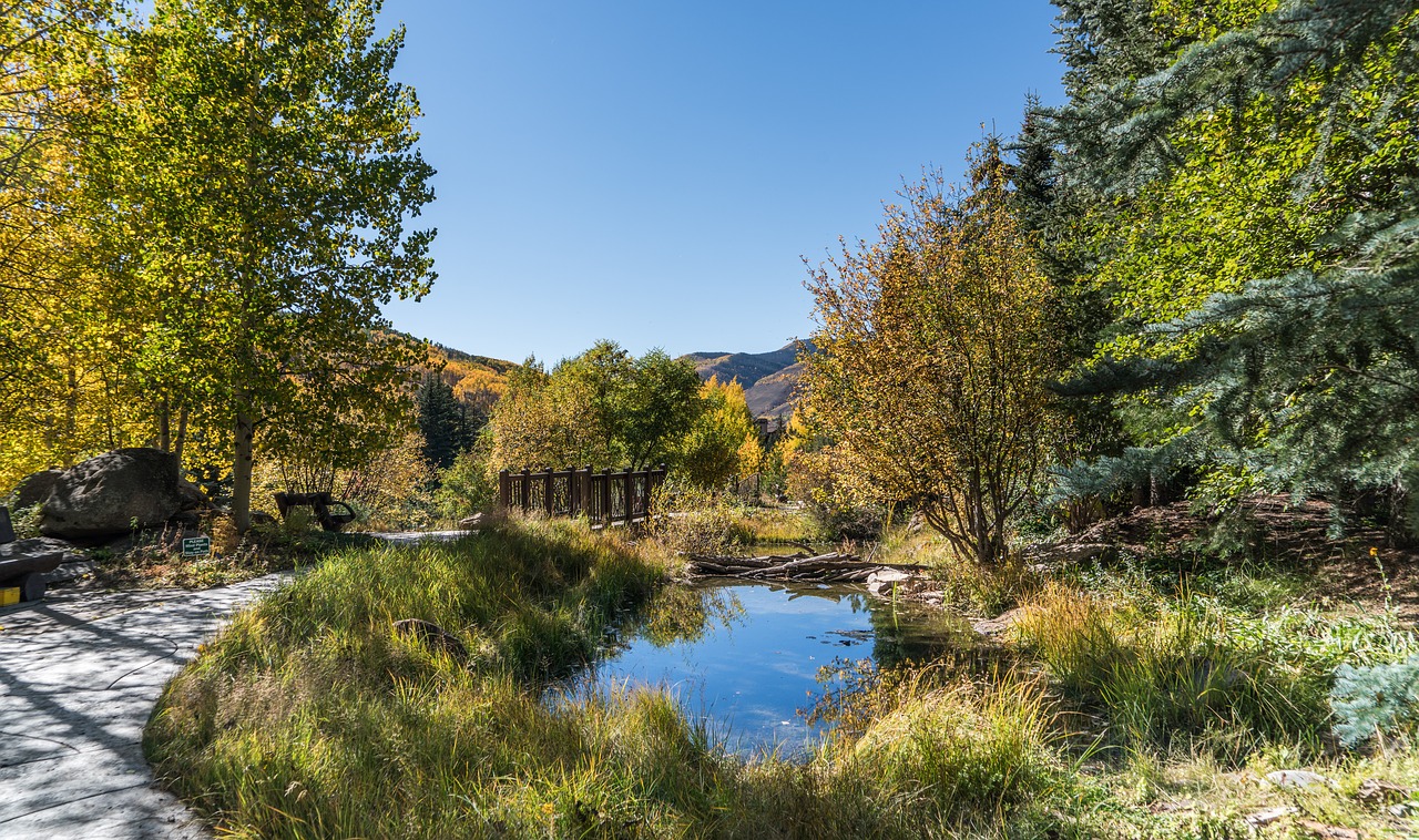 vail colorado pond free photo