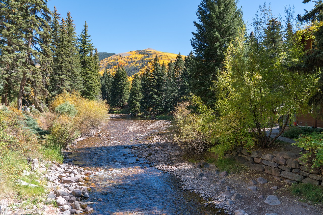 vail colorado forest free photo