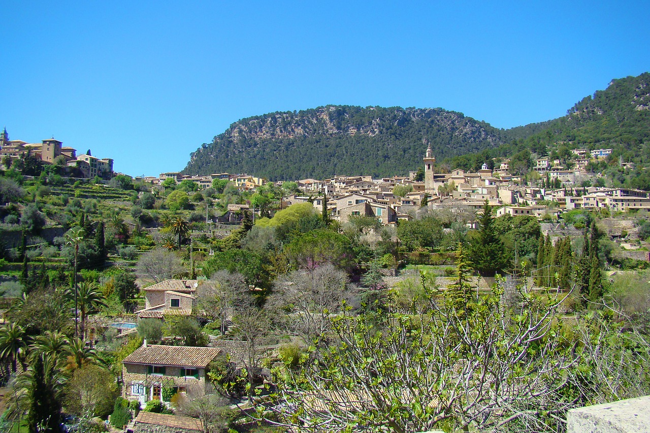 Valdemossa,majorca,city,view,panorama - free image from needpix.com