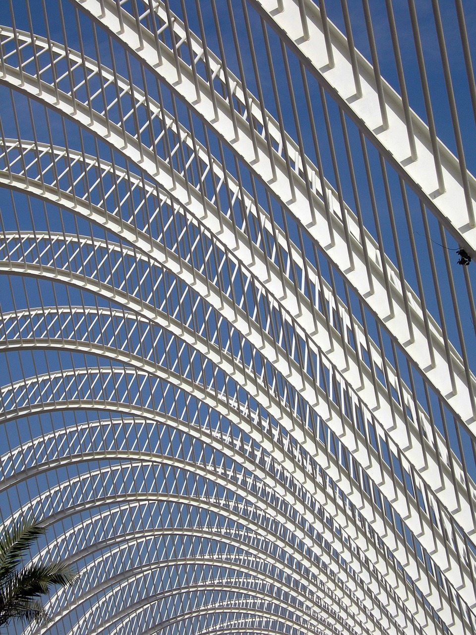 valencia architecture pergola free photo