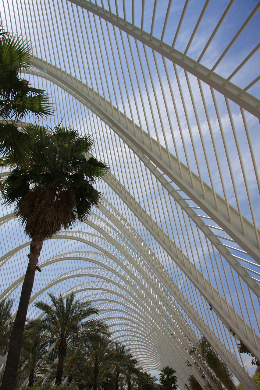 valencia city of arts and sciences architecture free photo
