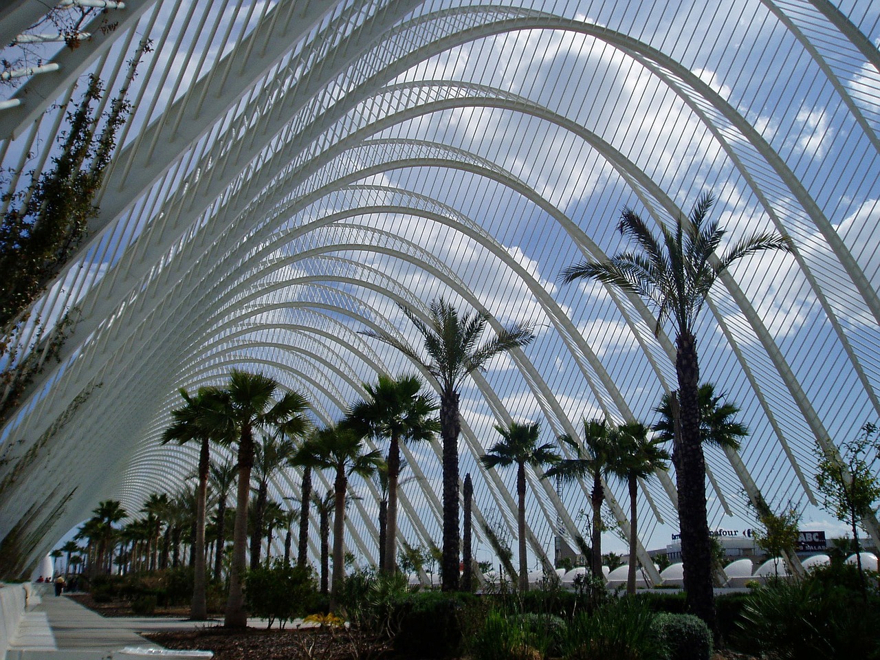 valencia modern arch city of arts and sciences free photo