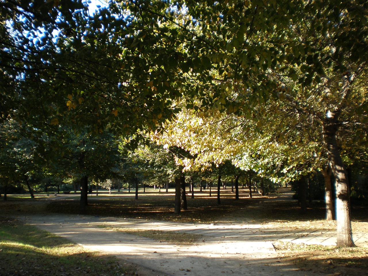 valencia park autumn free photo