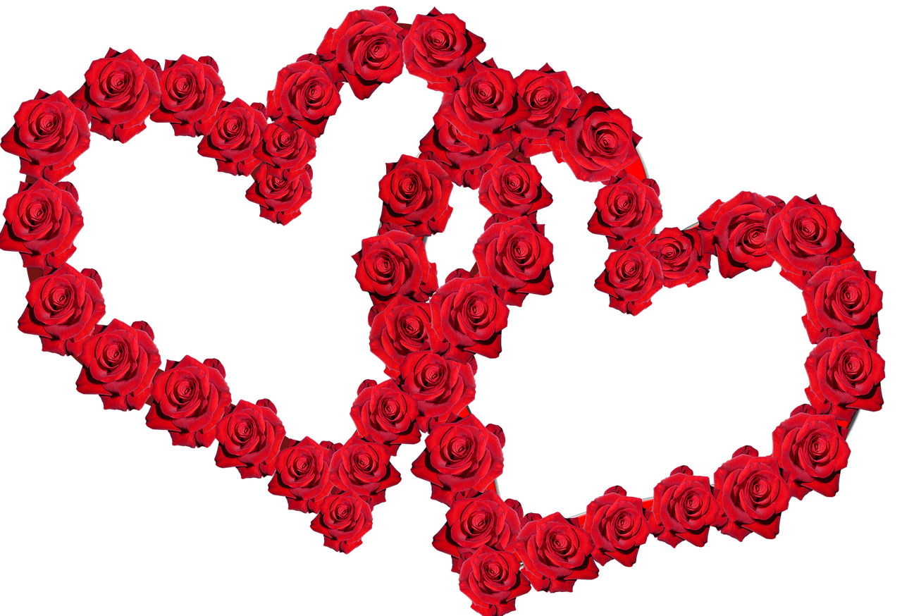 valentine  red roses  heart free photo