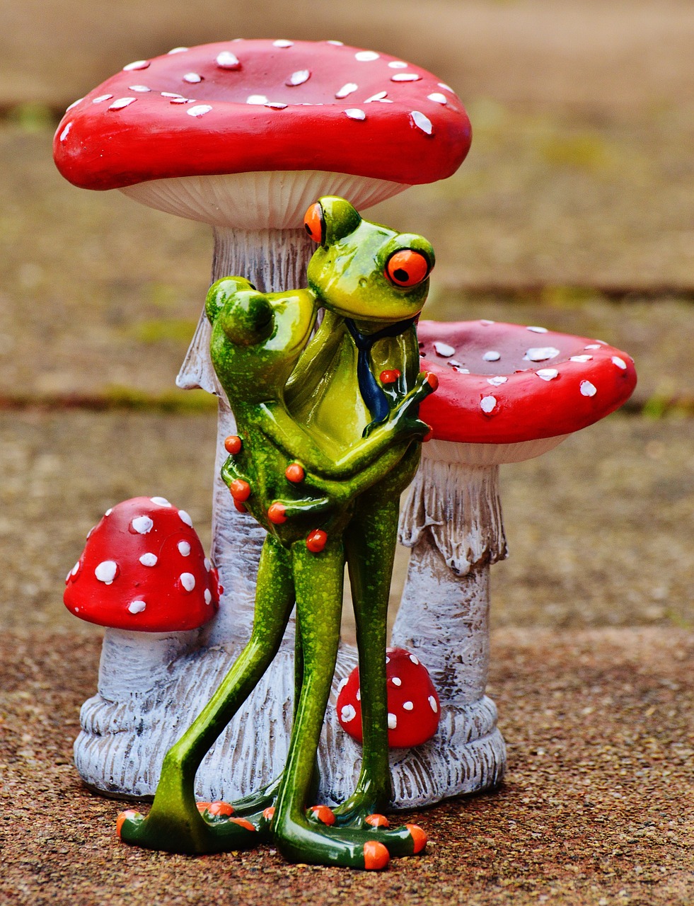 valentine's day love frogs free photo