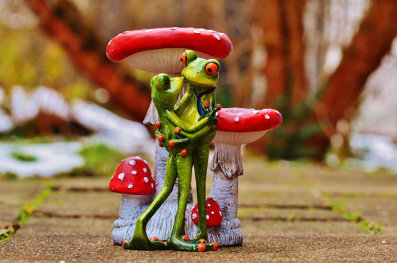 valentine's day love frogs free photo