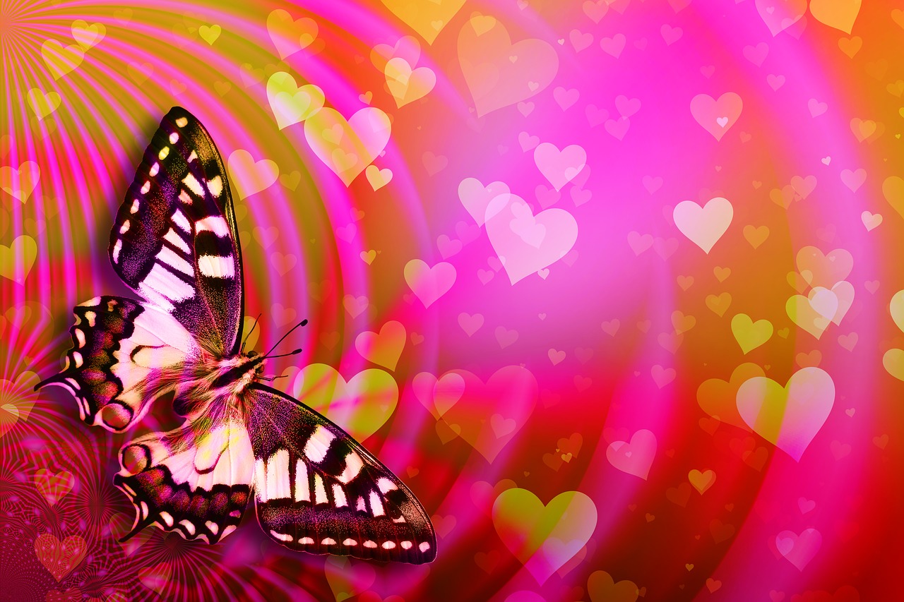 valentine's day  butterfly  ease free photo