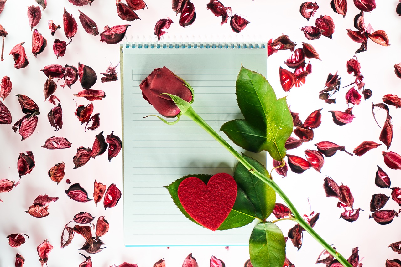 valentine's day  love  romance free photo