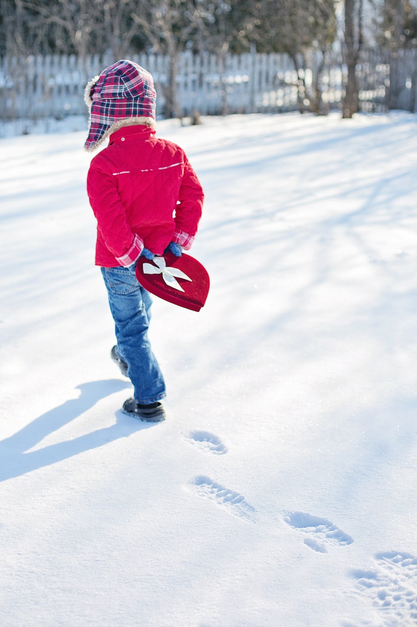 valentine's day little boy snow free photo