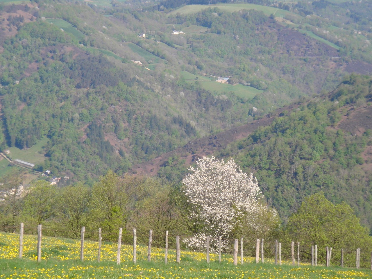 valle of the lot cantal france free photo