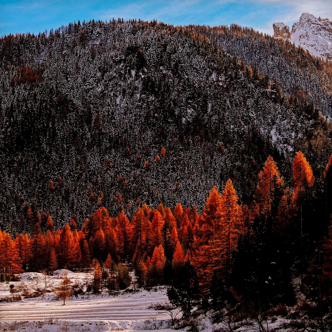 valle stretta piemonte italy free photo