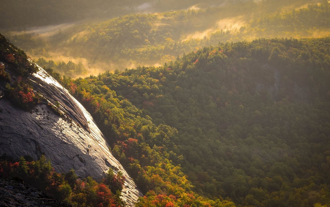 valley forest landscape free photo