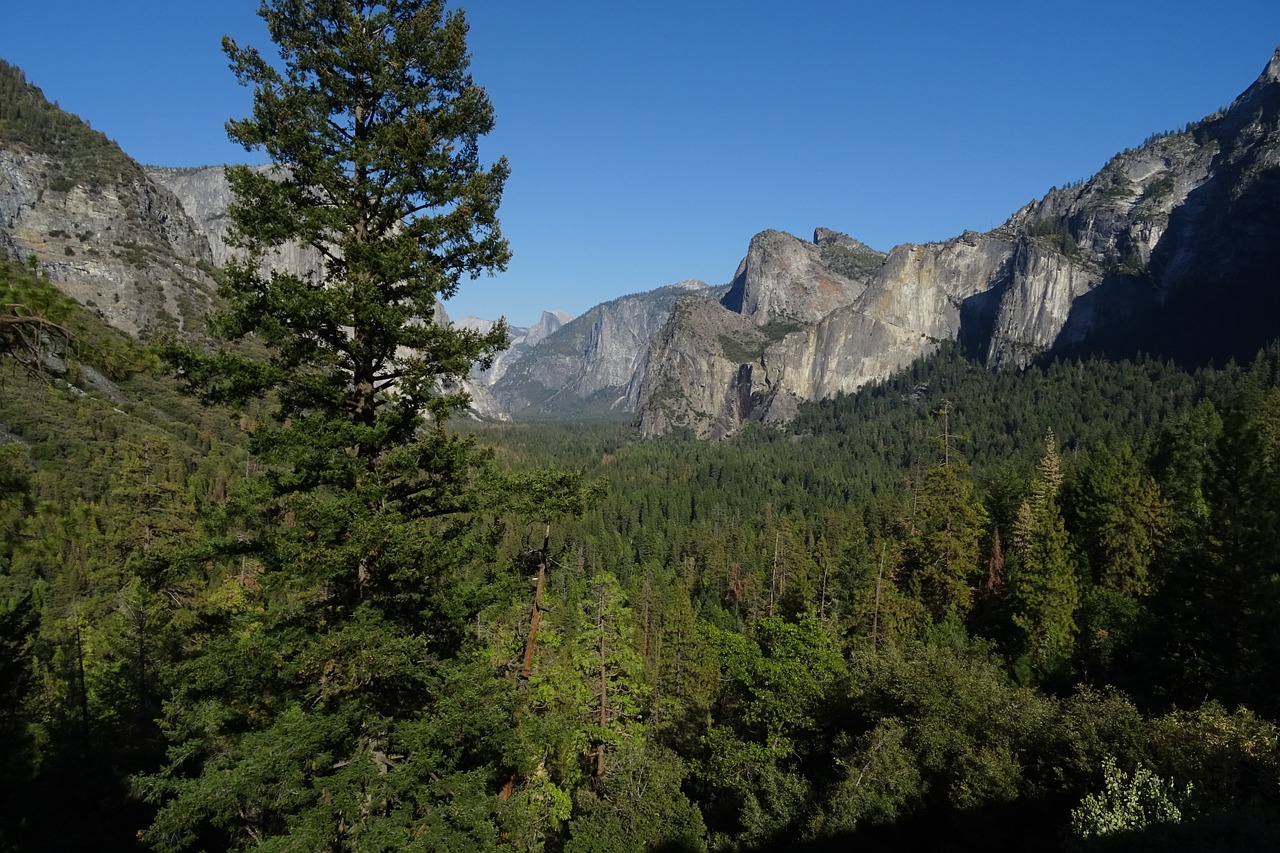 valley yosemite national park free photo