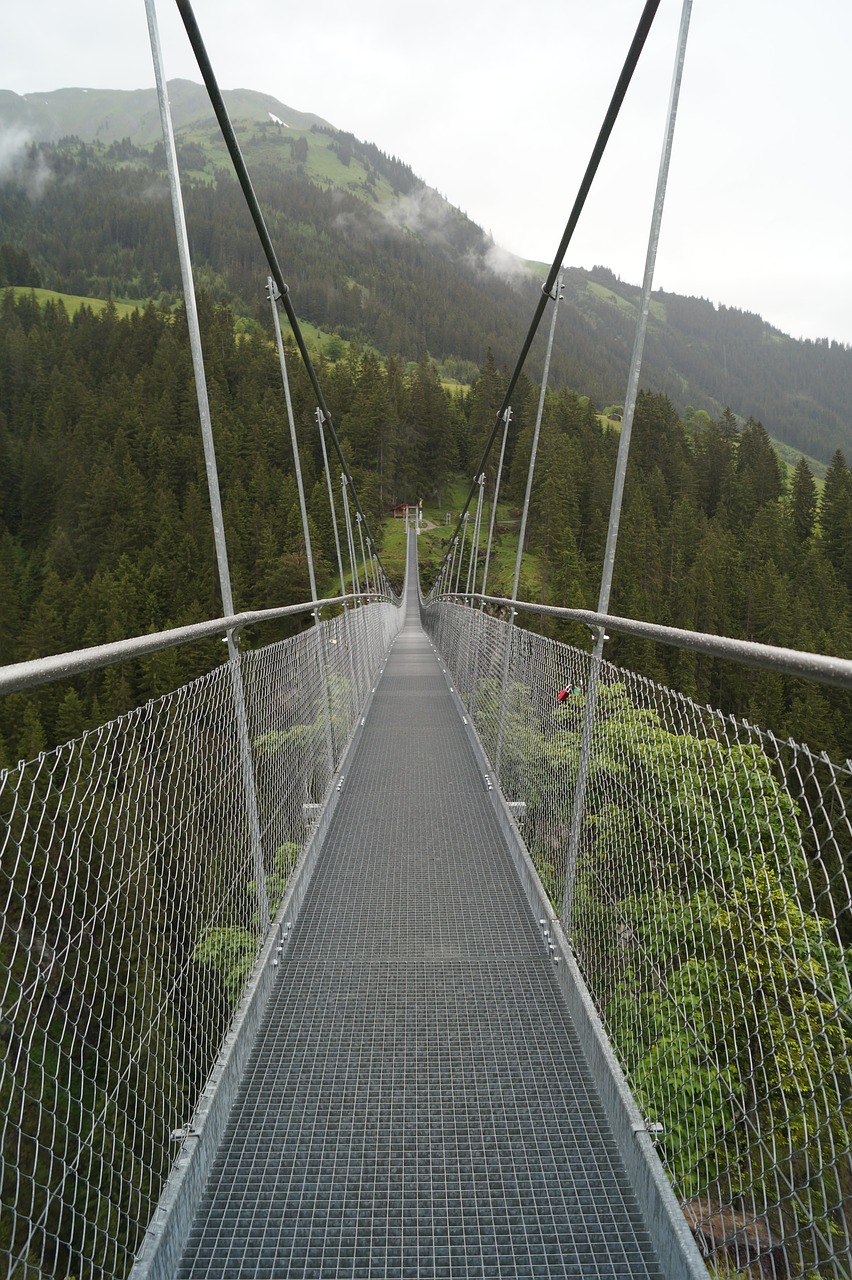 valley suspension bridge holiday free photo