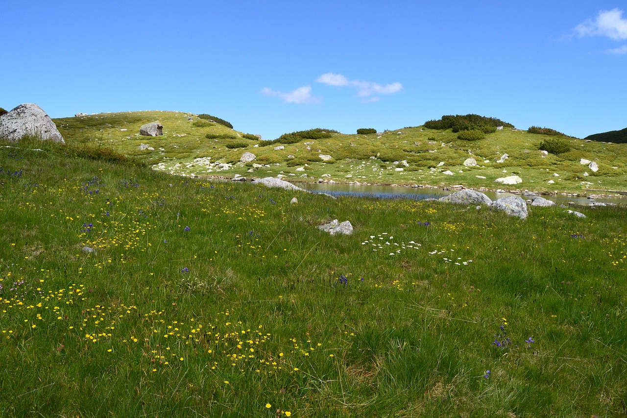 valley green grass free photo