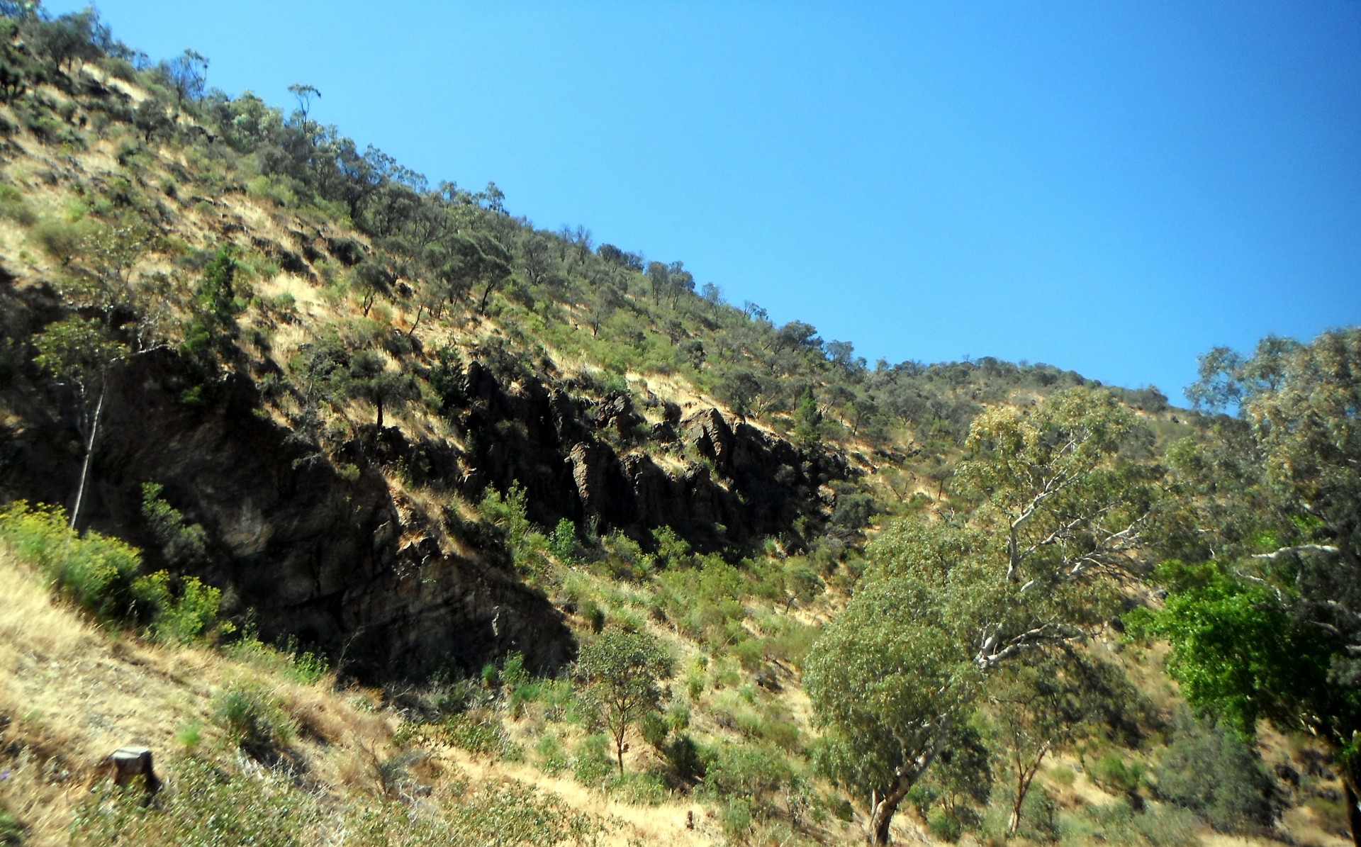 valley gorge cliffs free photo