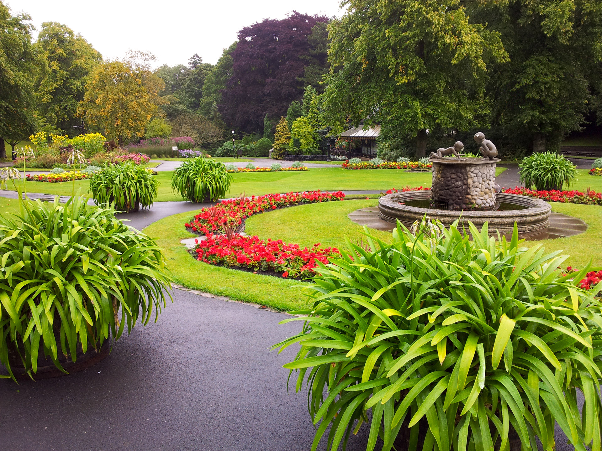 england flower flowers free photo