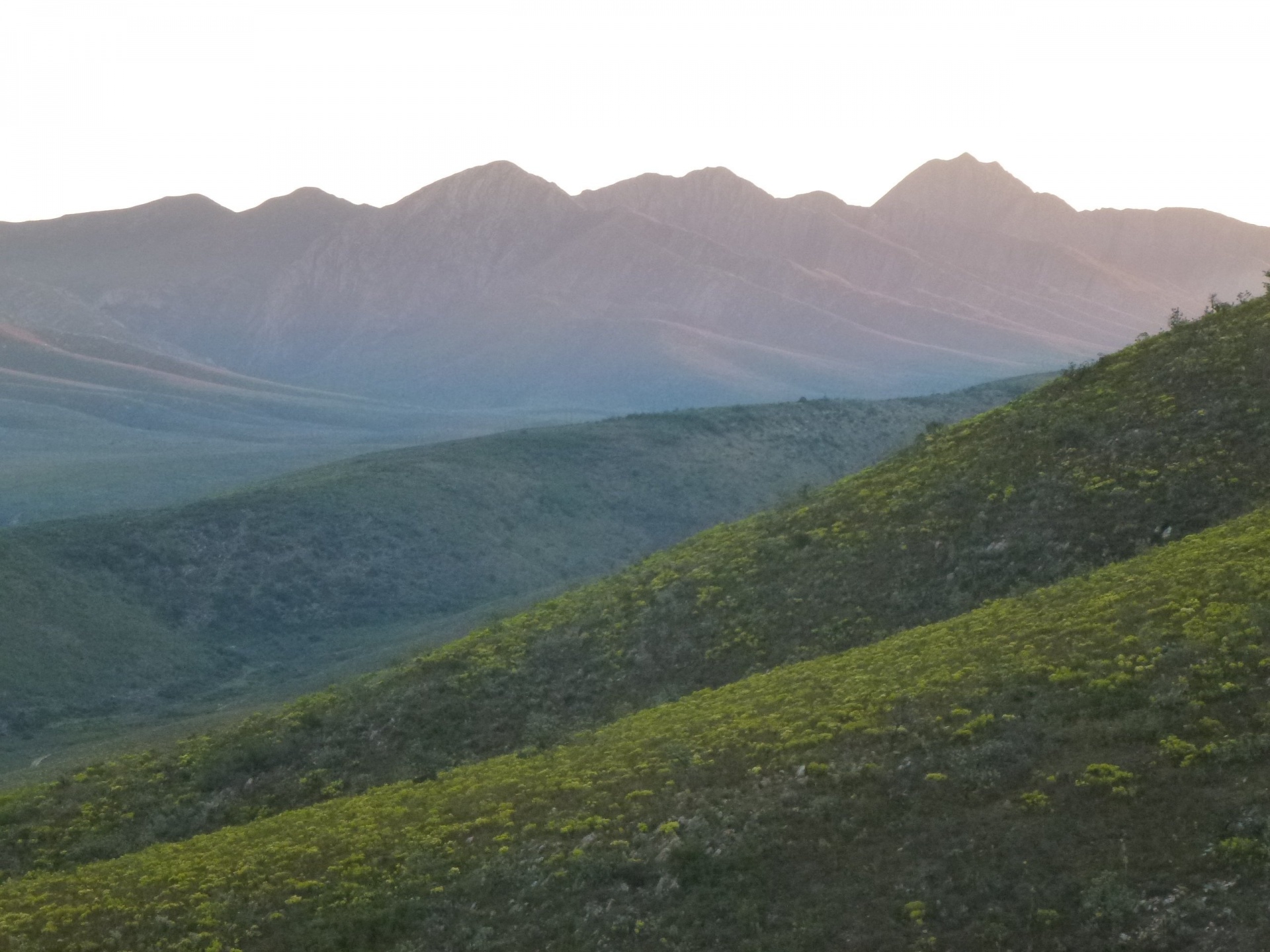 valley veld sunset free photo