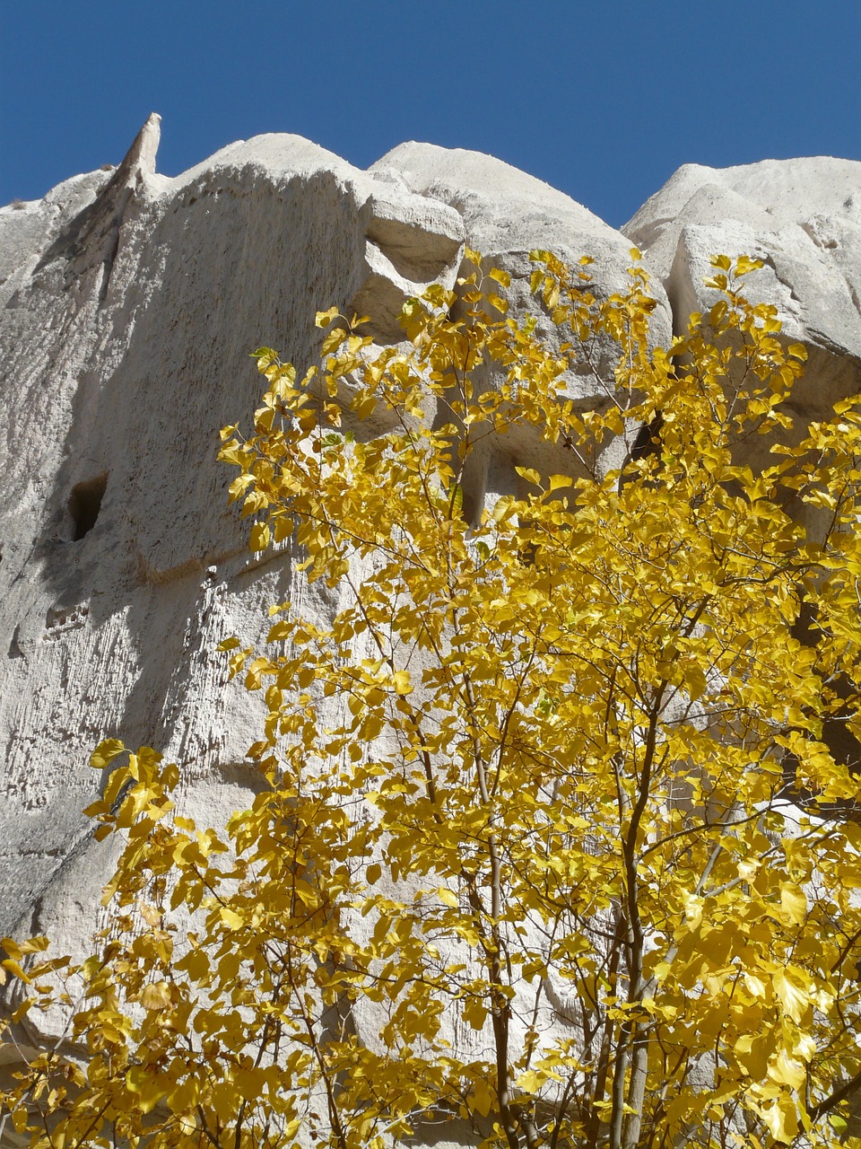 valley of roses cappadocia tufa rock free photo