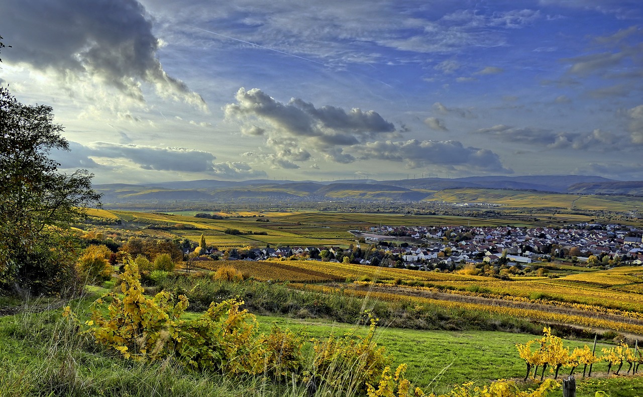 valley view autumn vineyards free photo