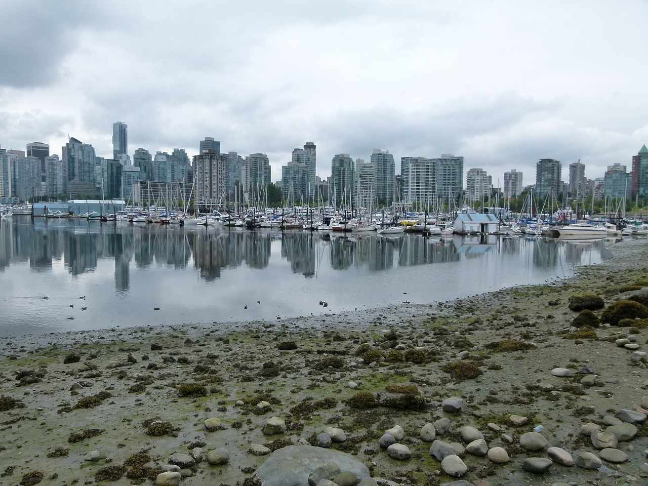 vancouver city british columbia free photo