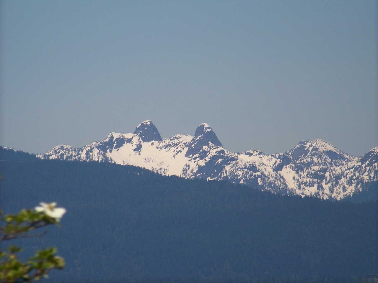 vancouver lions mountain snow mountain free photo