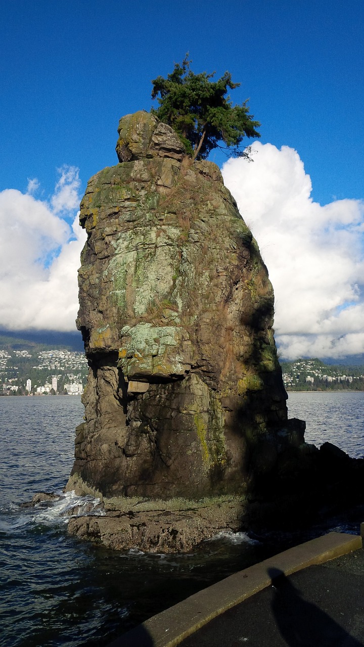vancouver seawall stanley park free photo