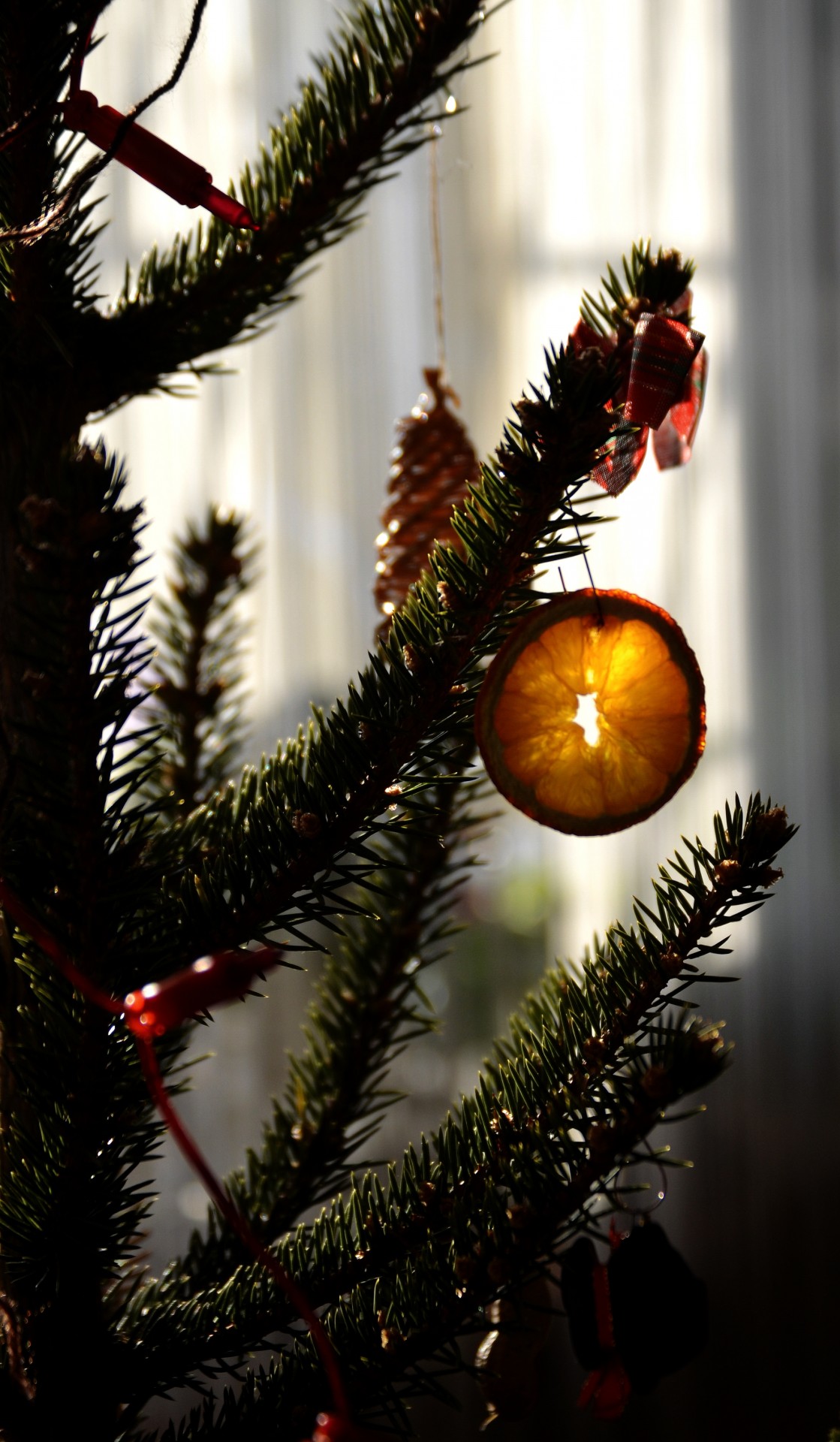 christmas tree ornament orange free photo