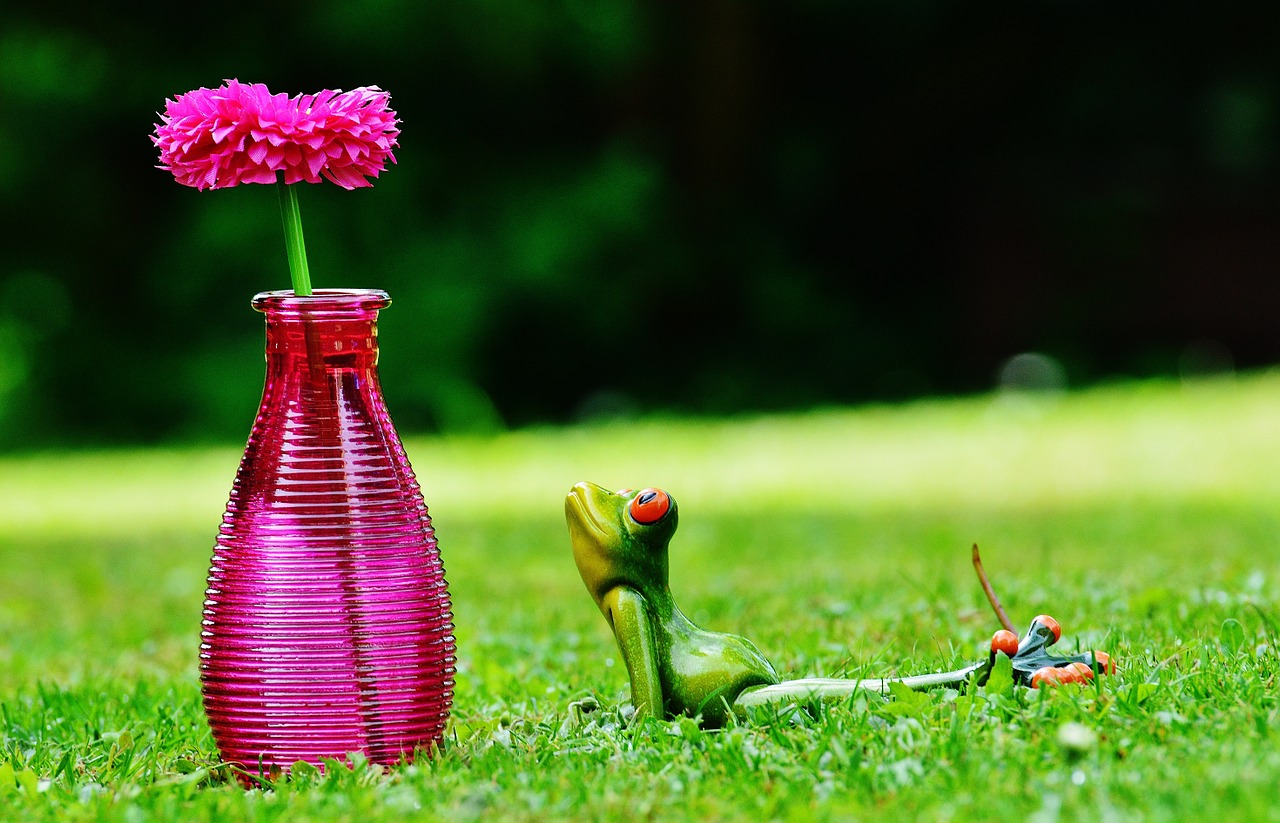 vase flower frog free photo