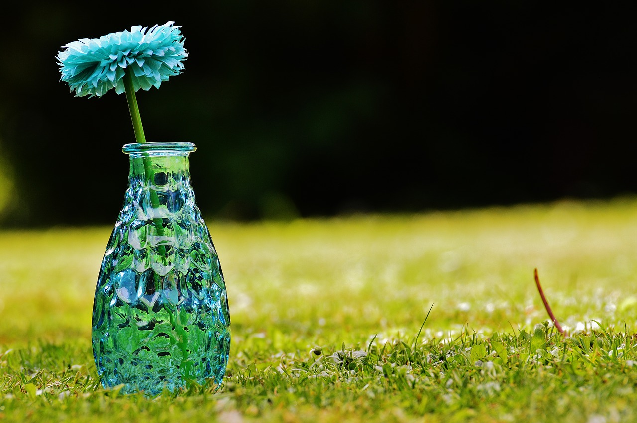 vase glass flower free photo