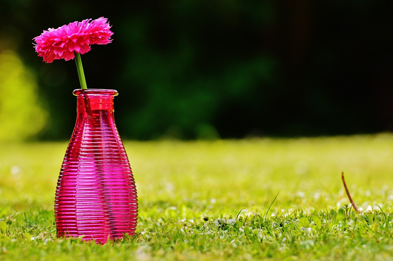 vase glass flower free photo