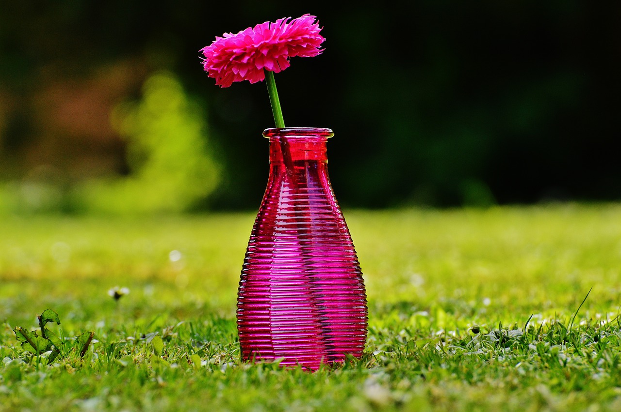 vase glass flower free photo