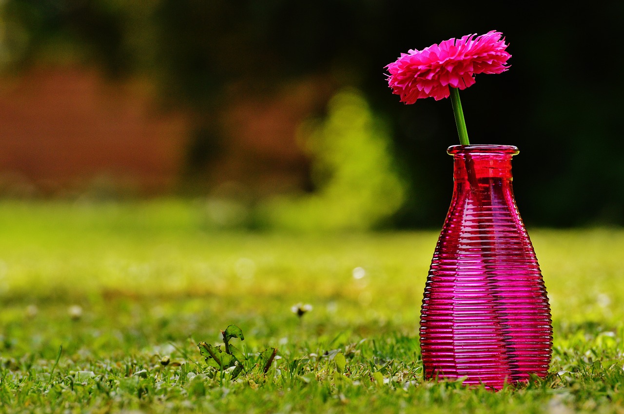 vase glass flower free photo