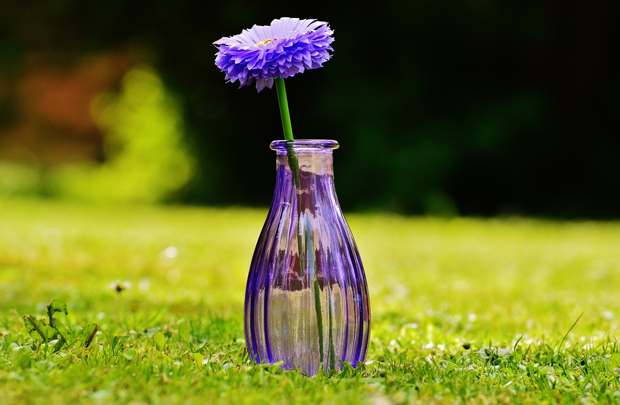 vase glass flower free photo