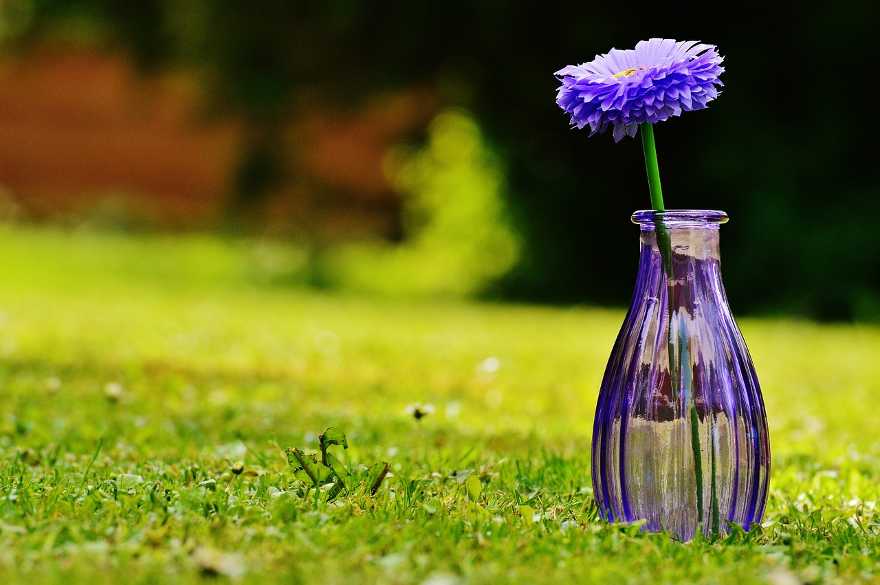 vase glass flower free photo