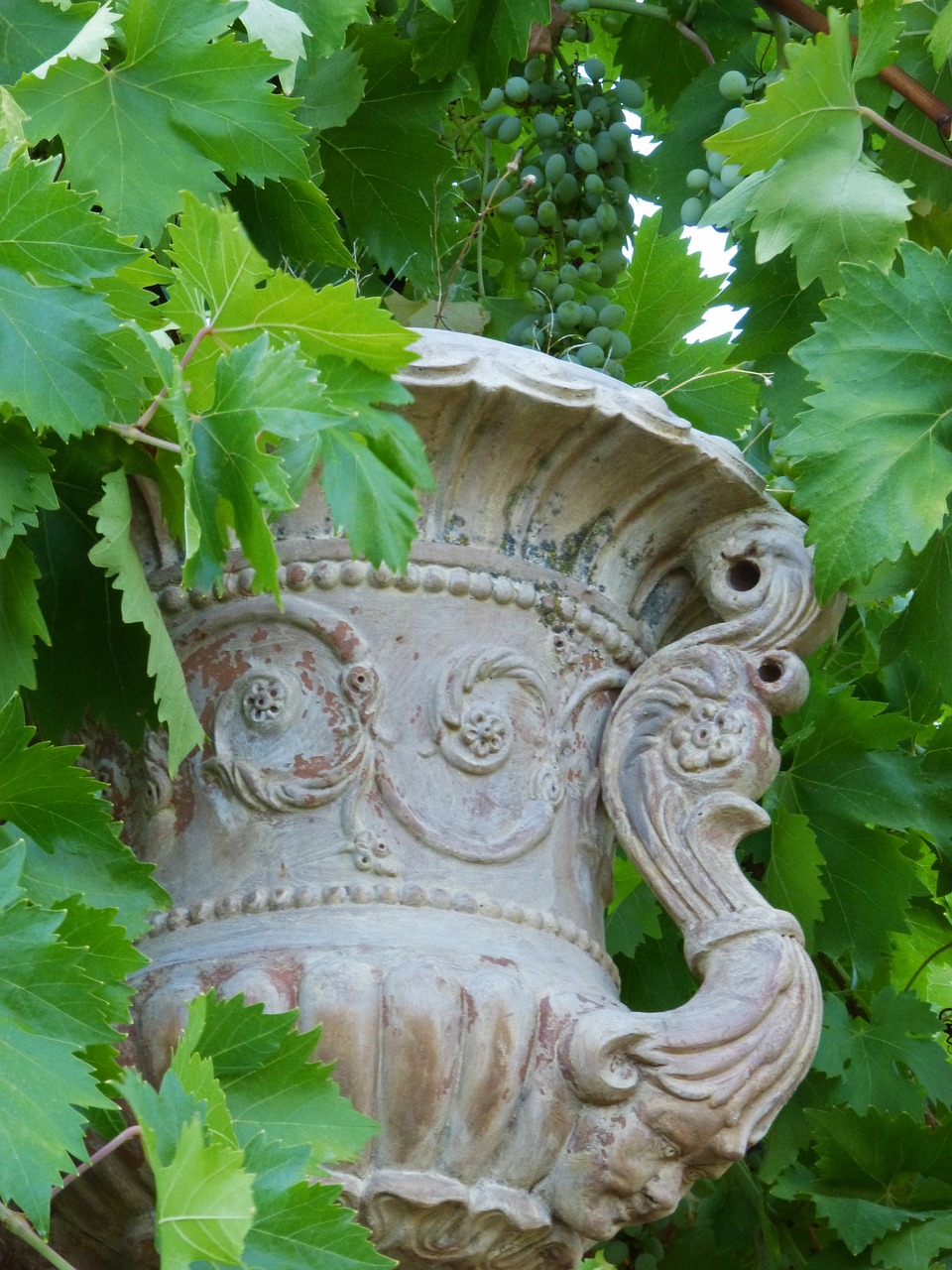 vase terracotta old free photo