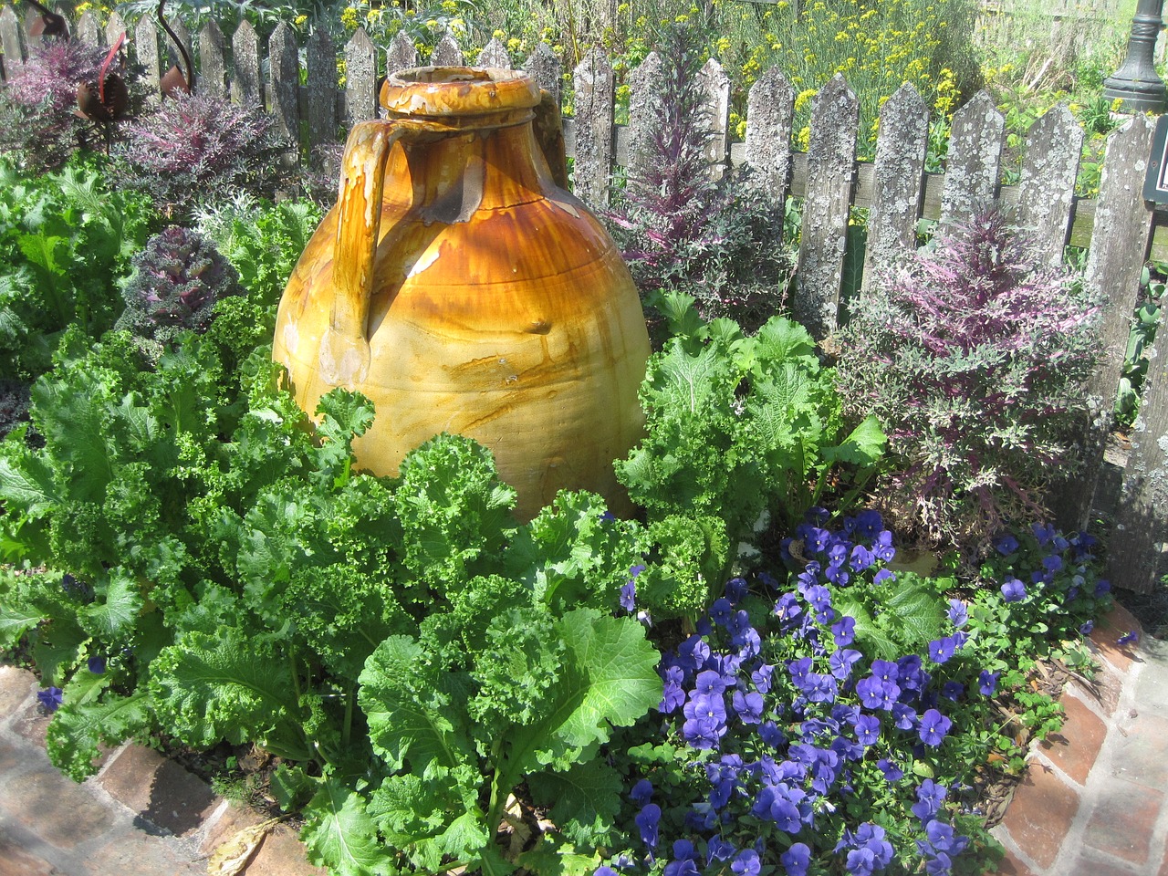 vase garden lettuce free photo