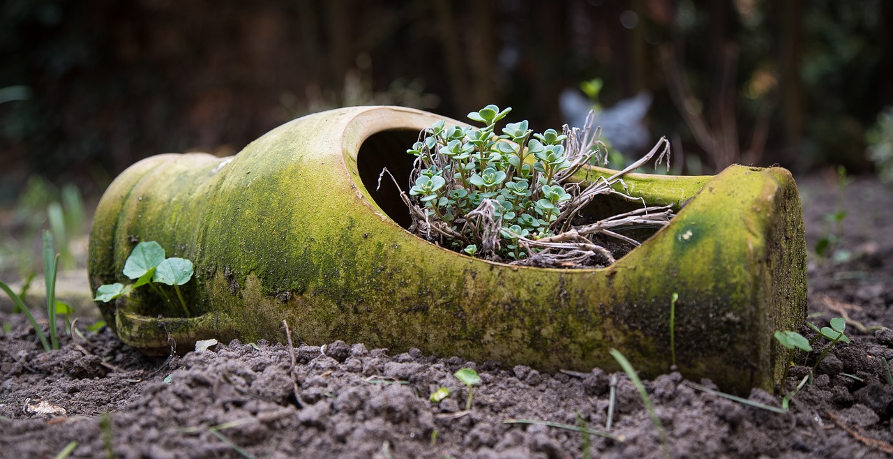 vase old garden free photo